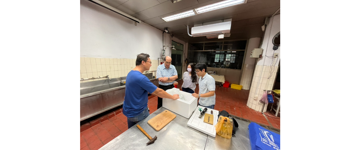由計畫場域夥伴至海大拜訪，進行墨瑞鱈熟成實驗。